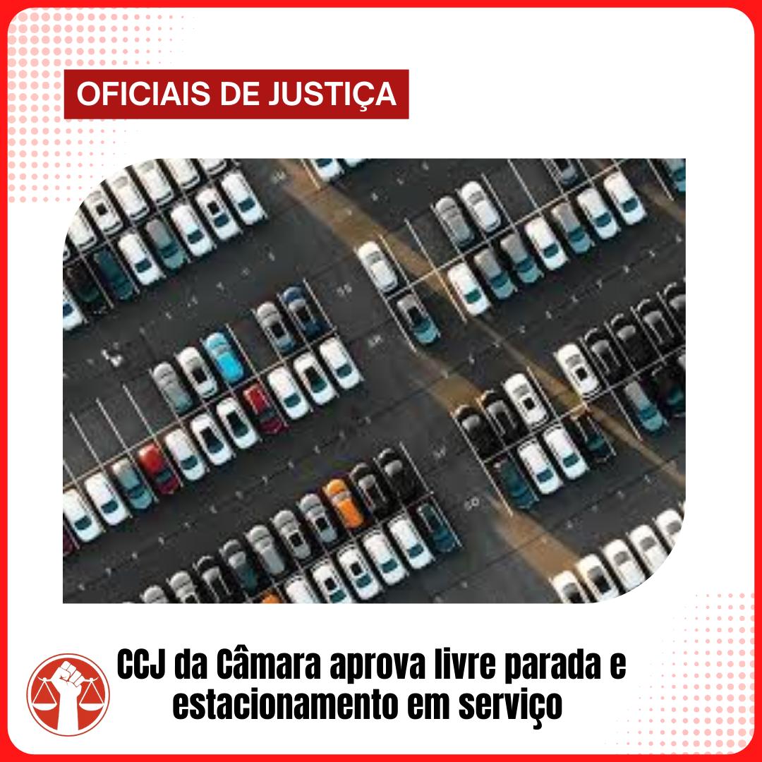 WhatsApp Image 2025 12 10 at 11.50.17