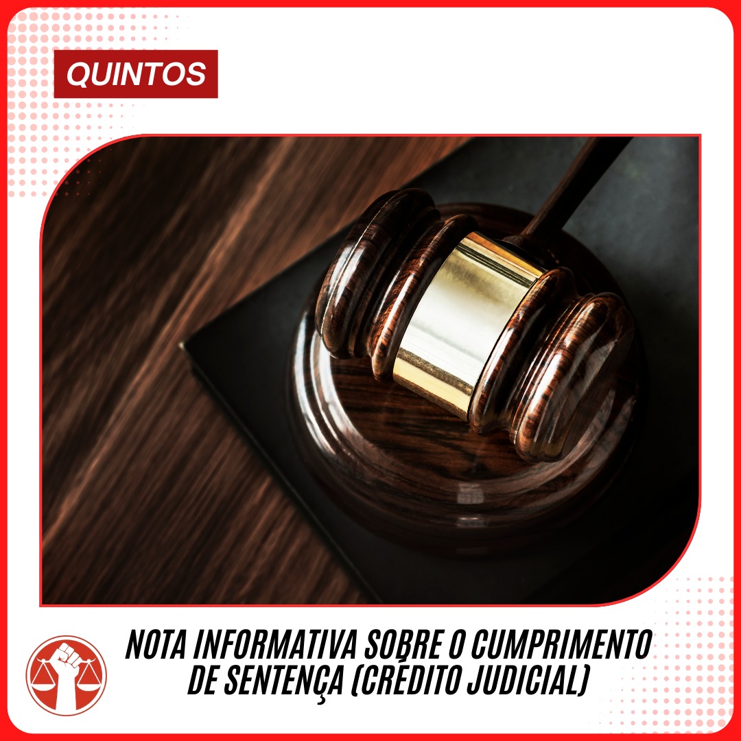 WhatsApp Image 2026 02 13 at 13.01.00